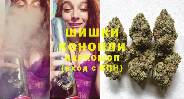 дурь Нея