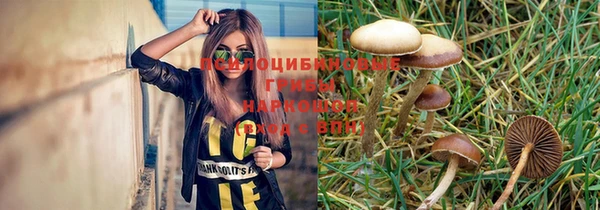 дурь Нея